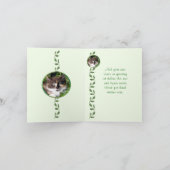 Green Eyed Cat Note Card Kaart (Binnen)