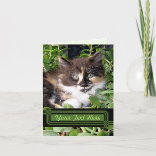 Green Eyed Cat Note Card Kaart (Voorkant)