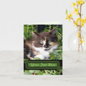 Green Eyed Cat Note Card Kaart (Gele Bloem)