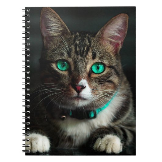 Green Eyed Cat Notitieboek (Voorkant)