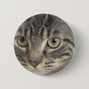 Green Eyed Cat Ronde Button 5,7 Cm