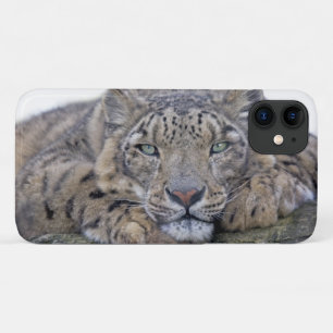 Green-Eyed Gaze iPhone 11 Hoesje