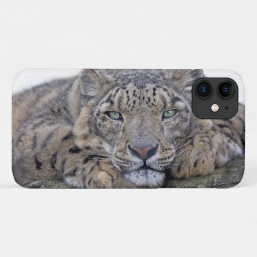 Green-Eyed Gaze iPhone 11 Hoesje (Achterkant (horizontaal))