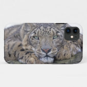 Green-Eyed Gaze iPhone 5 Hoesje-Mate Hoesje (Achterkant (horizontaal))