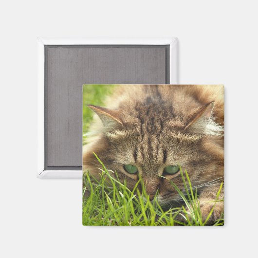 Green Eyed Hunter Magneet (Voorkant / Achterkant)