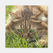 Green Eyed Hunter Magneet (Voorkant)