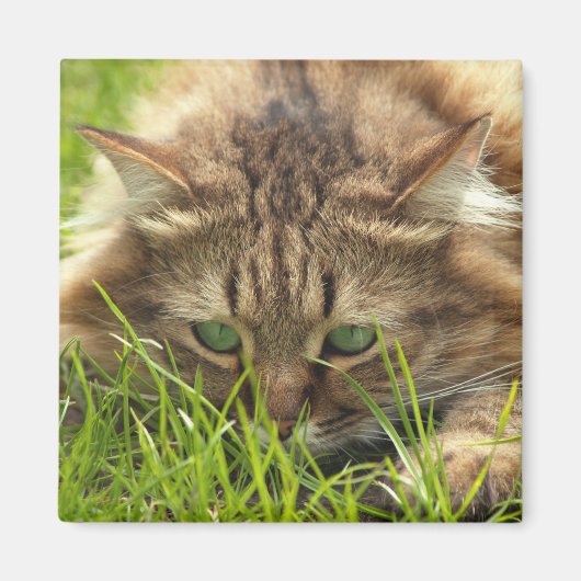 Green Eyed Hunter Magneet (Voorkant)