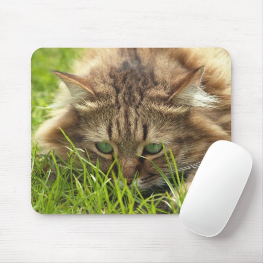 Green Eyed Hunter Muismat (Met muis)