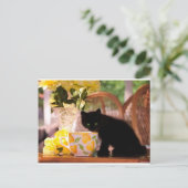 Green Eyed Kitten Stilllife Briefkaart (Staand voorkant)