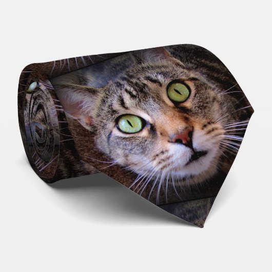 Green Eyed Tabby Cat Menswear Stropdas (Opgerold)