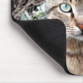 Green eyed Tabby Cat mousepad Muismat (Hoek)