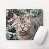 Green eyed Tabby Cat mousepad Muismat (Met muis)