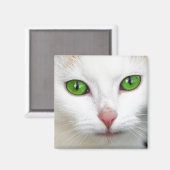 Green Eyed White Cat Magnet (Voorkant / Achterkant)