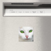 Green Eyed White Cat Magnet (Insitu (Vaatwasser))