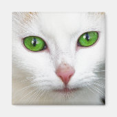 Green Eyed White Cat Magnet (Voorkant)