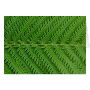 Green Fern