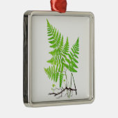 Green Fern Botanical Art Illustratie Metalen Ornament (Rechts)