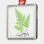 Green Fern Botanical Art Illustratie Metalen Ornament (Links)