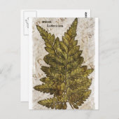 Green Fern Botanical Ferns Tropische Sjabloon Briefkaart (Voorkant / Achterkant)