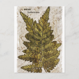 Green Fern Botanical Ferns Tropische Sjabloon Briefkaart