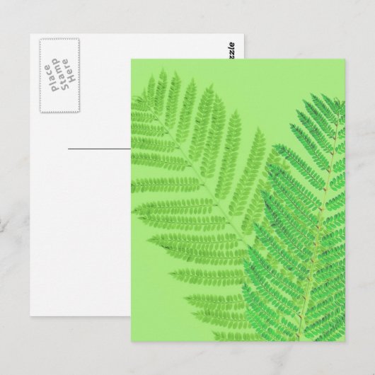 Green Fern Briefkaart (Voorkant / Achterkant)