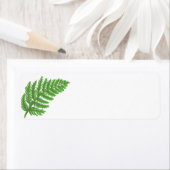 Green Fern Etiket (Insitu)