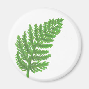 Green Fern Magneet