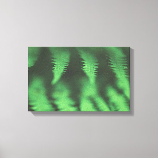 Green Fern Natuur Foto Canvas Afdruk (Voorkant)