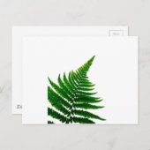 Green Fern Print Woodlands Leaf Briefkaart (Voorkant / Achterkant)
