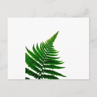 Green Fern Print Woodlands Leaf Briefkaart