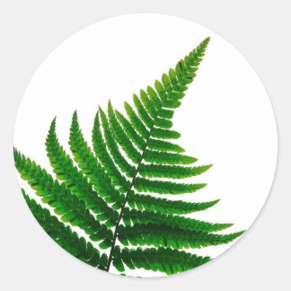 Green Fern Print Woodlands Leaf Ronde Sticker