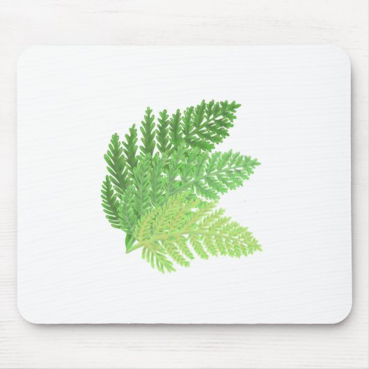 Green Fern Trio Muismat (Voorkant)