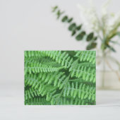 Green Ferns-Natuur Briefkaart (Staand voorkant)
