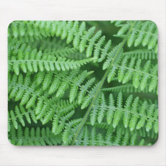 Green Ferns-Natuur Muismat (Voorkant)