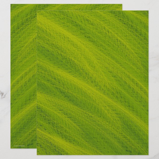 Green Field of Wheat Scrapbook Paper 2-Sided Page (Voorkant / Achterkant)
