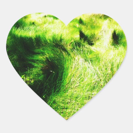 Green Field Sticker (Voorkant)
