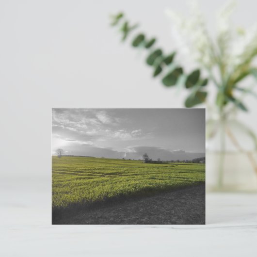 Green Fields-Briefkaart Briefkaart (Staand voorkant)