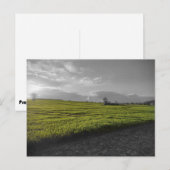 Green Fields-Briefkaart Briefkaart (Voorkant / Achterkant)