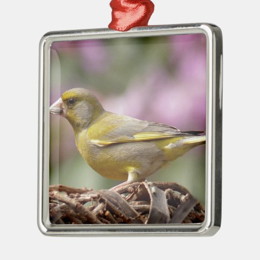 Green Finch Metalen Ornament (Links)