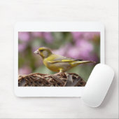 Green Finch Muismat (Met muis)