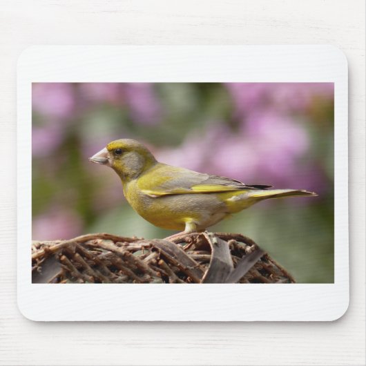 Green Finch Muismat (Voorkant)