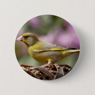 Green Finch Ronde Button 5,7 Cm