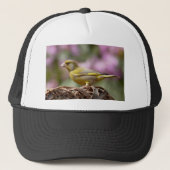 Green Finch Trucker Pet (Voorkant)