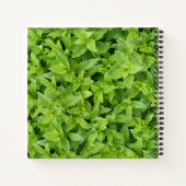 Green Fingers Notitieboek (Achterkant)