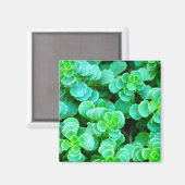Green Floral Abstract Magneet (Voorkant / Achterkant)