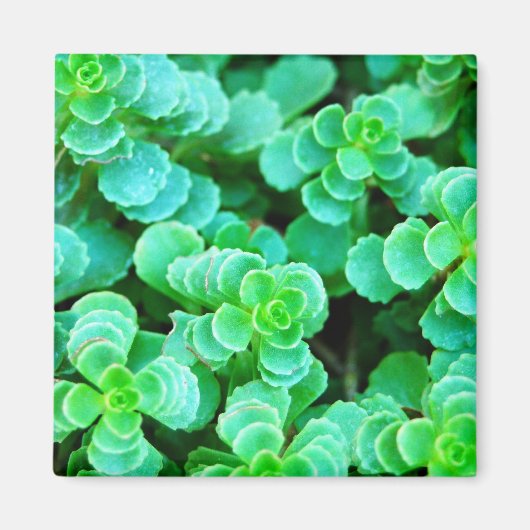 Green Floral Abstract Magneet (Voorkant)