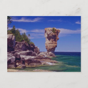 Green Flowerpot Island, Tobermory bloemen Briefkaart