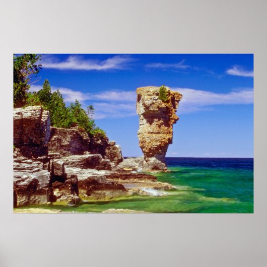 Green Flowerpot Island, Tobermory, Ontario bloemen Poster (Voorkant)