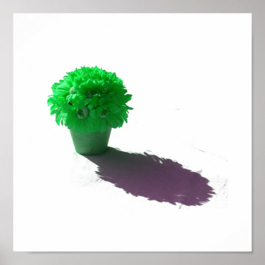 Green Flowers White Bucket and Shadow Poster (Voorkant)