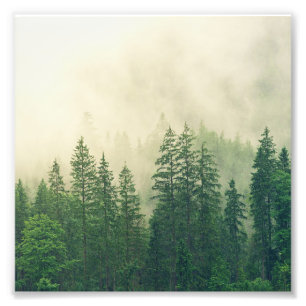 Green Foggy Rocky Mountains Colorado USA Adventure Foto Afdruk